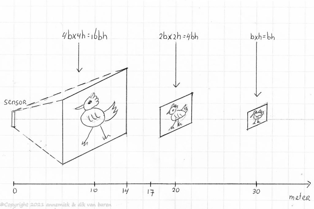 size bird picture as funtion distance