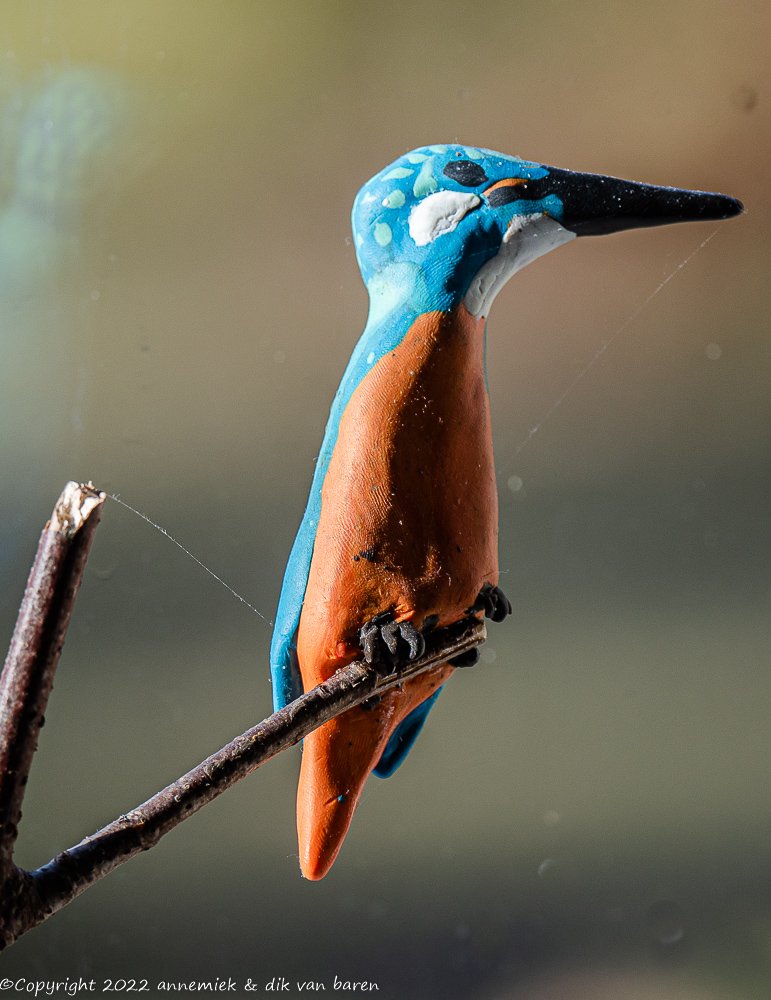 kingfisher