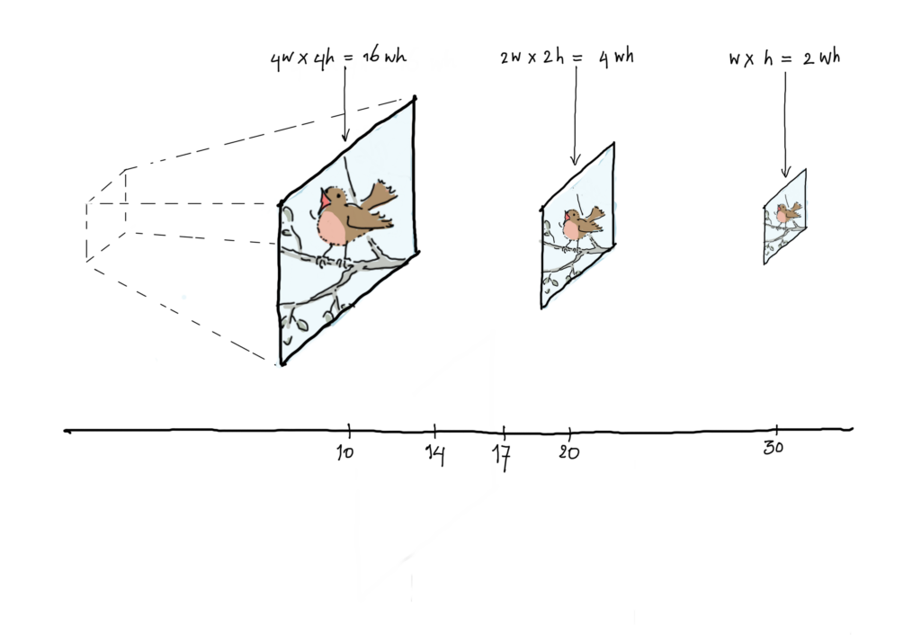 size bird quadraticly proportional to width and height bird