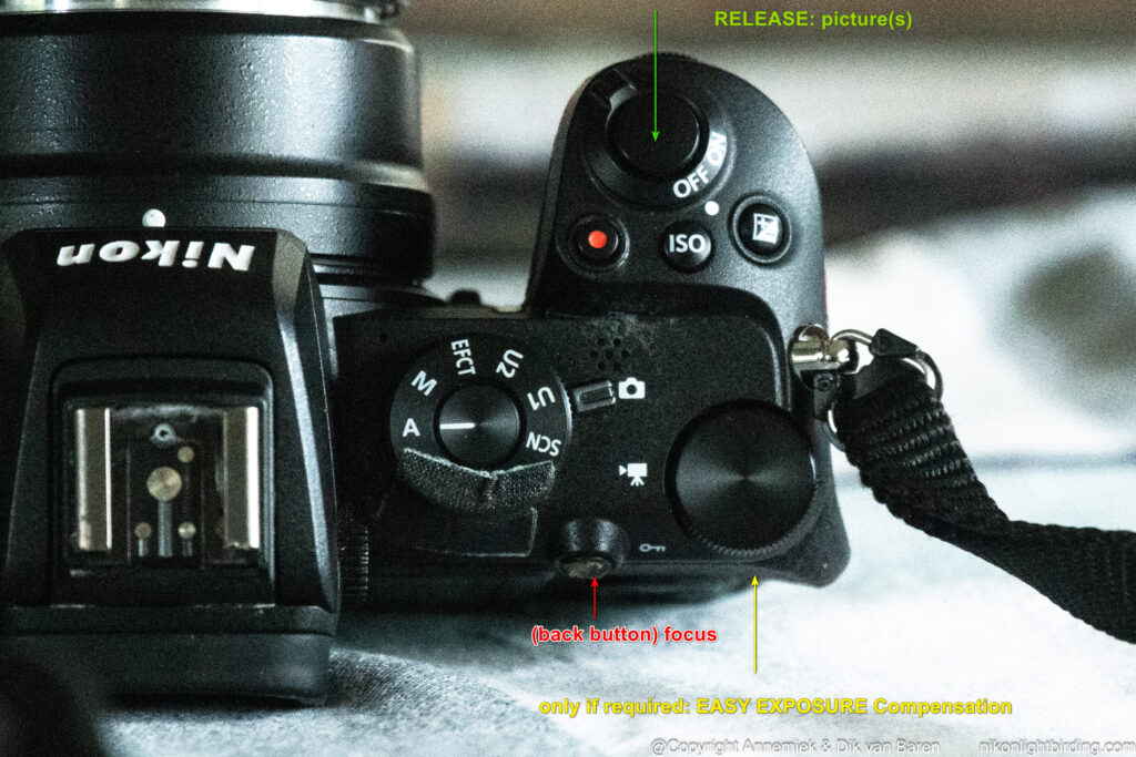 APERTURE mode Birds Z50